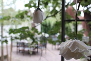 00home IMG_1346
